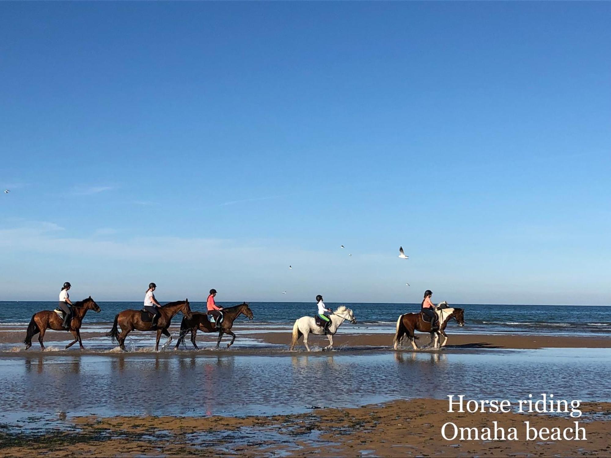 Double J - Omaha Beach Formigny Eksteriør billede
